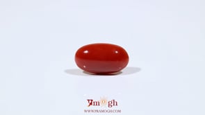 Japanese Red Coral - 4.75 Carat