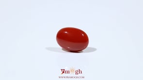Japanese Red Coral - 5.2 Carat
