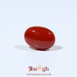 Japanese Red Coral - 5.2 Carat