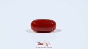 Japanese Red Coral - 6.05 Carat