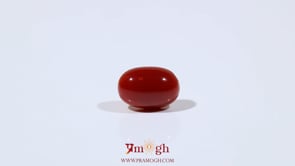 Japanese Red Coral - 3.6 Carat