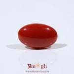 Japanese Red Coral - 5.5 Carat
