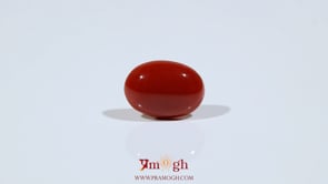 Japanese Red Coral - 4.8 Carat
