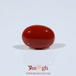 Japanese Red Coral - 4.8 Carat