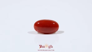 Japanese Red Coral - 4.65 Carat