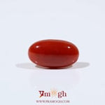 Japanese Red Coral - 4.65 Carat