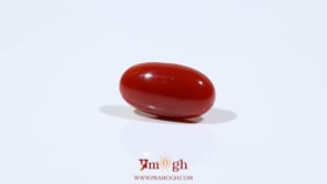 Japanese Red Coral - 5.4 Carat