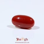 Japanese Red Coral - 5.4 Carat