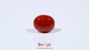 Japanese Red Coral - 5.45 Carat