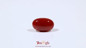 Japanese Red Coral - 4.5 Carat