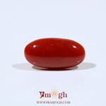 Japanese Red Coral - 6 Carat