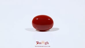 Japanese Red Coral - 4.4 Carat