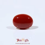 Japanese Red Coral - 4.4 Carat