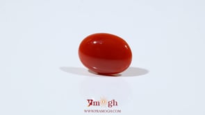 Japanese Red Coral - 4.95 Carat