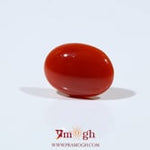 Japanese Red Coral - 4.95 Carat