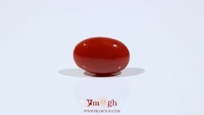Japanese Red Coral - 6.3 Carat