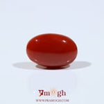 Japanese Red Coral - 6.3 Carat