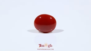 Japanese Red Coral - 4.65 Carat
