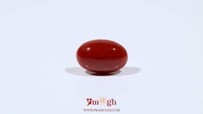 Japanese Red Coral - 5.1 Carat