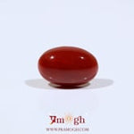 Japanese Red Coral - 5.1 Carat