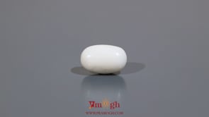 White Coral - 3.6 Carat