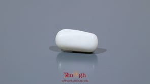 White Coral - 4.75 Carat