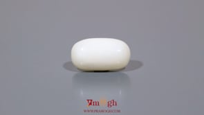 White Coral - 3.4 Carat