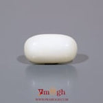 White Coral - 3.4 Carat