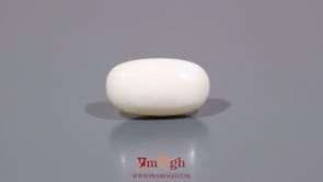 White Coral - 3.6 Carat