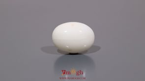 White Coral - 10 Carat