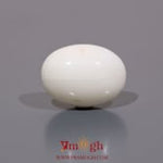 White Coral - 10 Carat