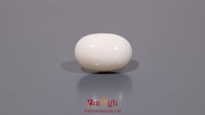 White Coral - 9.9 Carat