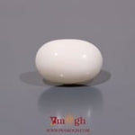 White Coral - 9.9 Carat