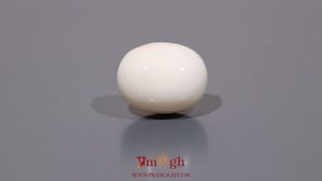 White Coral - 12.4 Carat