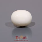 White Coral - 12.4 Carat