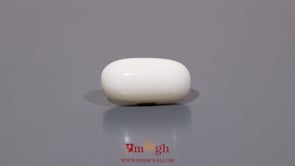 White Coral - 9.5 Carat