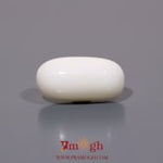 White Coral - 9.5 Carat