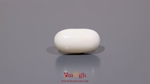 White Coral - 9.5 Carat