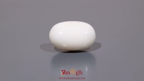 White Coral - 11.1 Carat