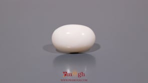 White Coral - 9.05 Carat
