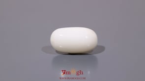 White Coral - 11.75 Carat