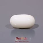 White Coral - 11.75 Carat
