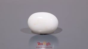White Coral - 12.4 Carat