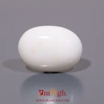 White Coral - 12.4 Carat
