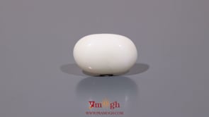 White Coral - 8.7 Carat