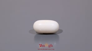 White Coral - 8.4 Carat