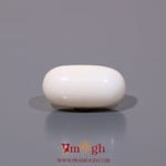 White Coral - 8.4 Carat