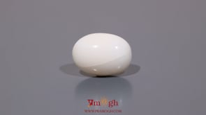 White Coral - 8.2 Carat