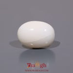 White Coral - 8.2 Carat