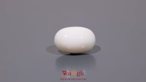 White Coral - 9.1 Carat